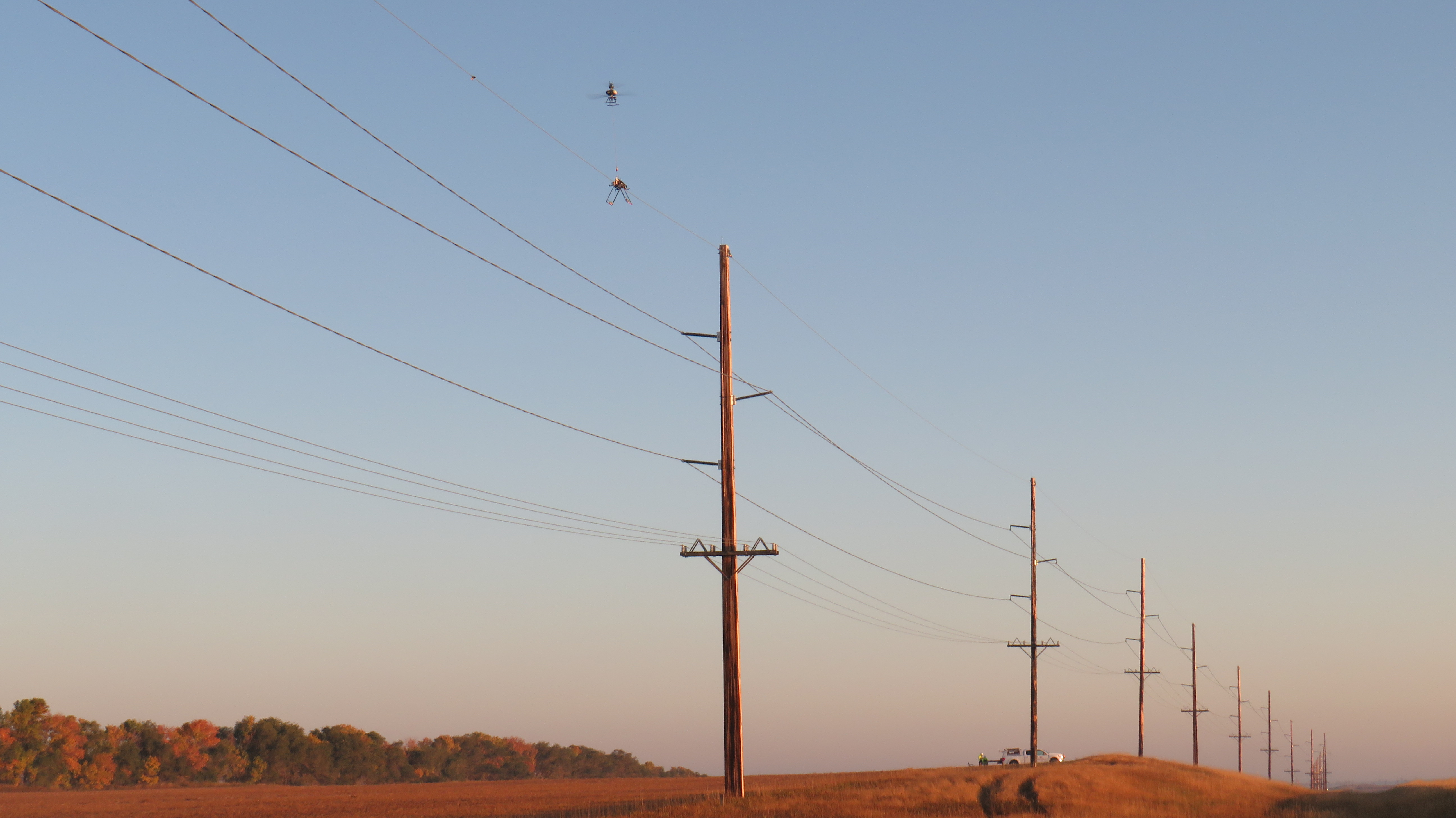 Fulcrum Bird Diverters