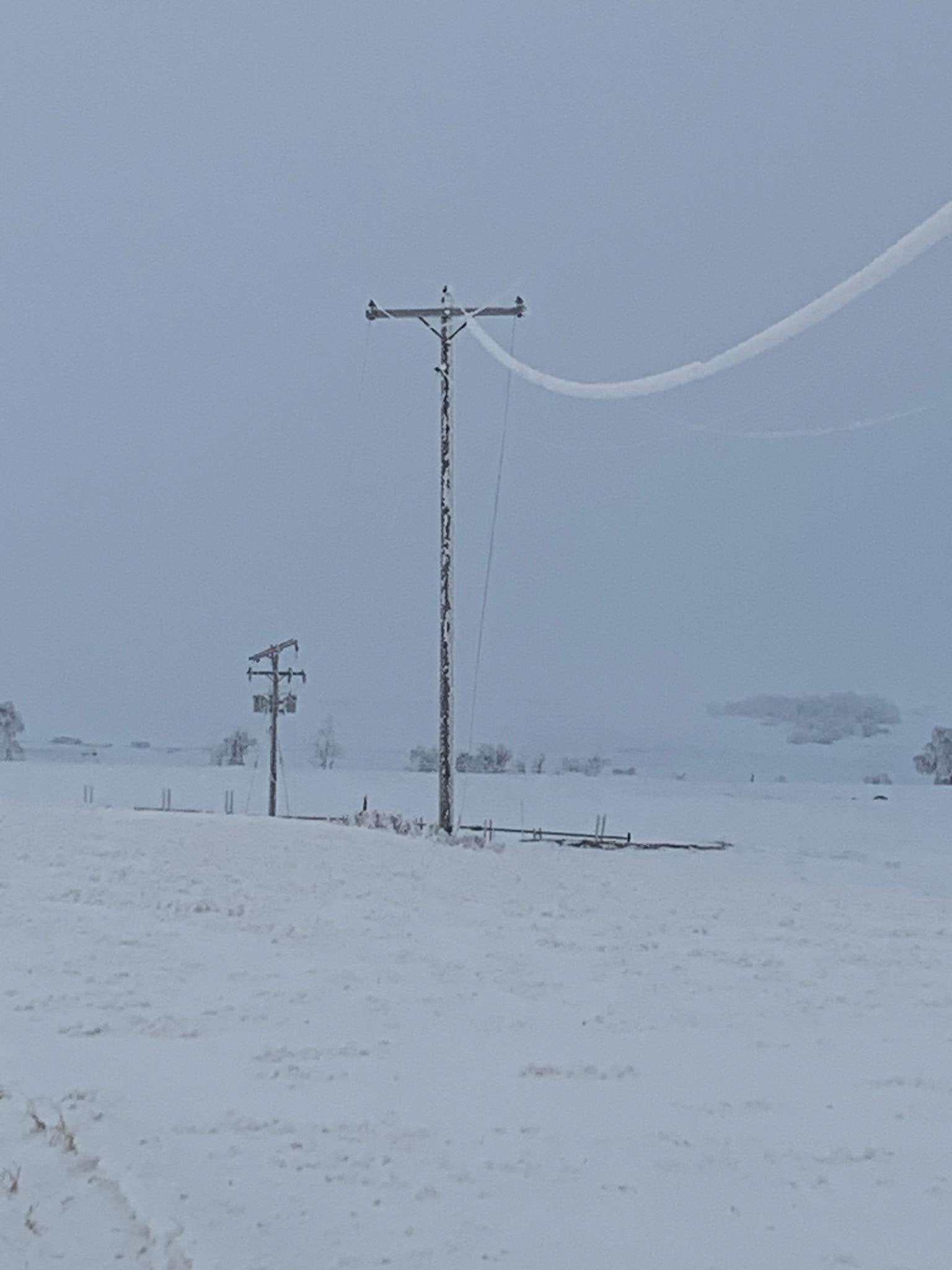 frost on lines